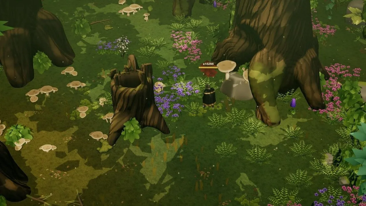Giant trunks, mushrooms and flowers at noon.