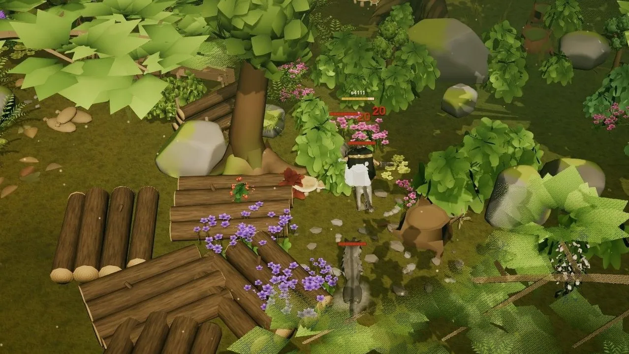 A wolf fight in the old wood.